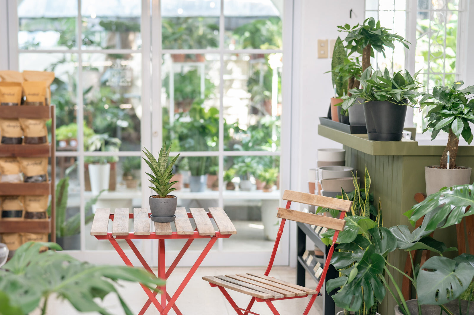 Shopleaf Plant Studio